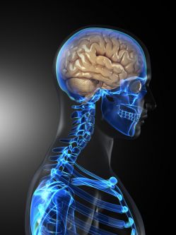 Shreveport Brain and Spinal Injury Attorney