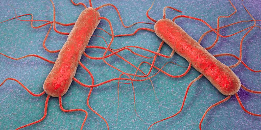 Boar’s Head Listeria Outbreak